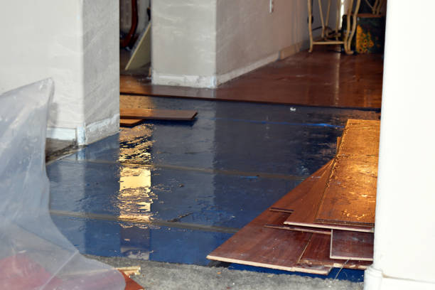 Professional Burst Pipe Cleanup technician working in Long Branch, VA